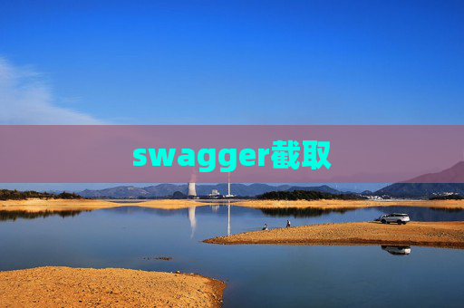 swagger截取