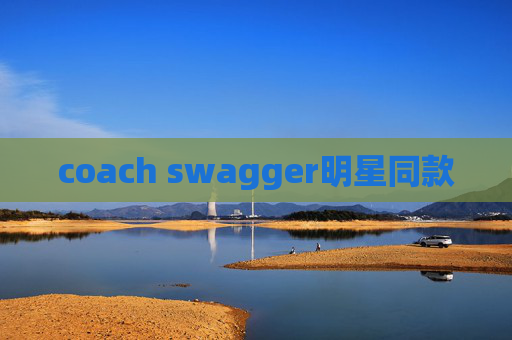coach swagger明星同款
